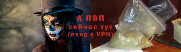 дживик Абаза