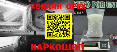 гашик Кандалакша