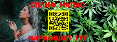 гашик Кандалакша