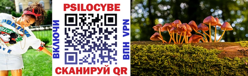 Псилоцибиновые грибы Psilocybine cubensis  Тобольск 