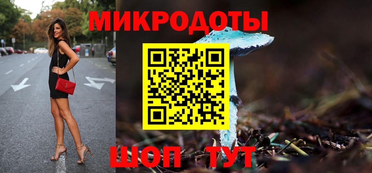 Галлюциногенные грибы Psilocybe Тобольск